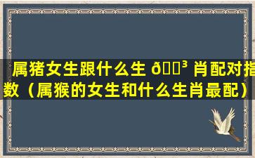 属猪女生跟什么生 🌳 肖配对指数（属猴的女生和什么生肖最配）